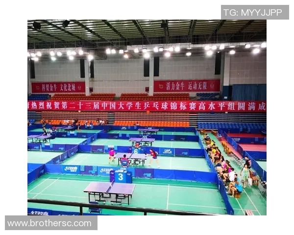 西安乒乓球队意识对比深度解析与发展趋势探讨