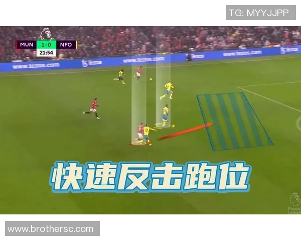 深入分析上海排球队防守策略与战术特点的专业解读