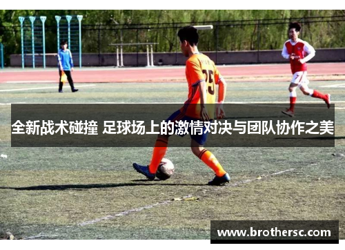 全新战术碰撞 足球场上的激情对决与团队协作之美